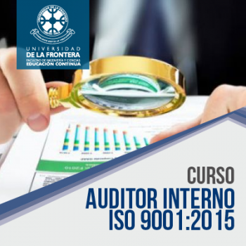 Auditor_Interno